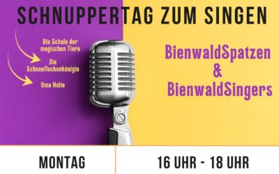 Schnuppertag Singen